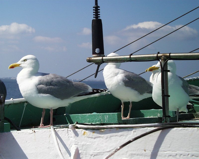 IVN Weekend Texel (25).jpg