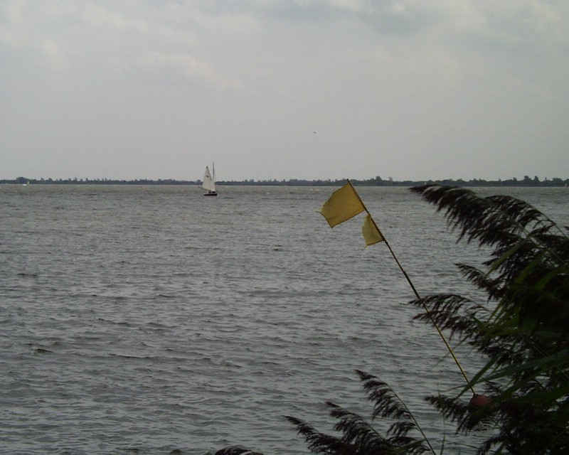 Lauwersoog (056).jpg