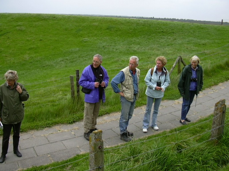 Lauwersoog (087).JPG