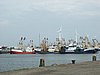 Lauwersoog (023).JPG