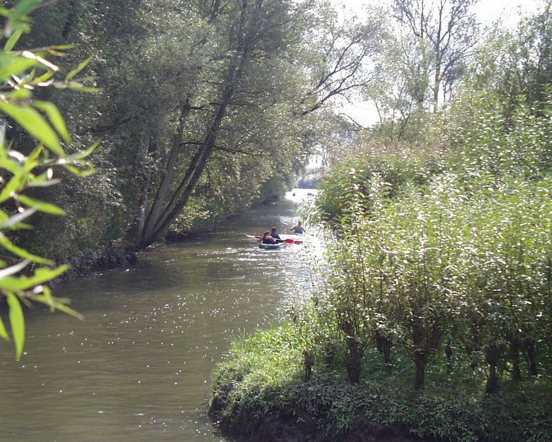 Biesbosch 01.jpg