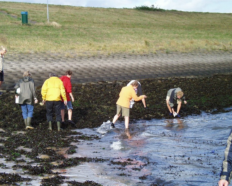 IVN Weekend Wemeldinge 2003 (05).jpg