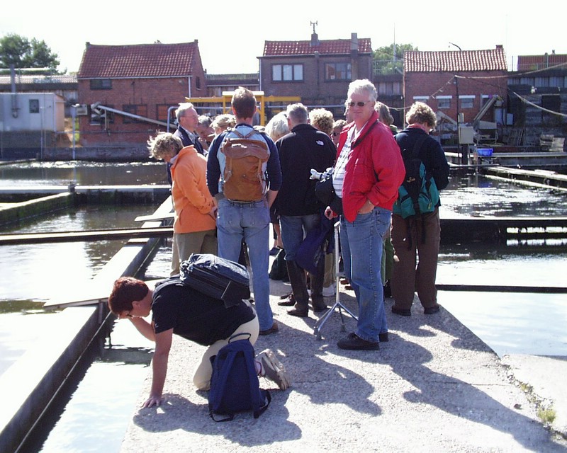 IVN Weekend Wemeldinge 2003 (31).jpg