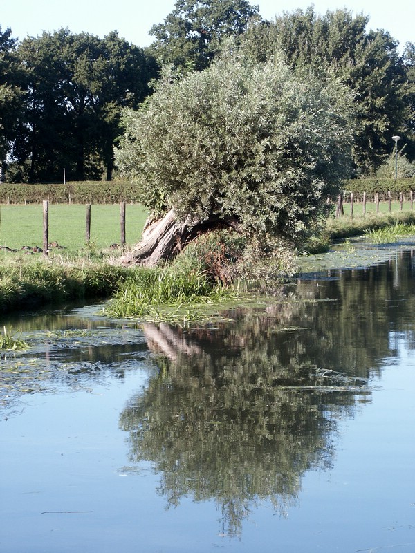 Thijjsedag 2003 Bunnik (44).JPG