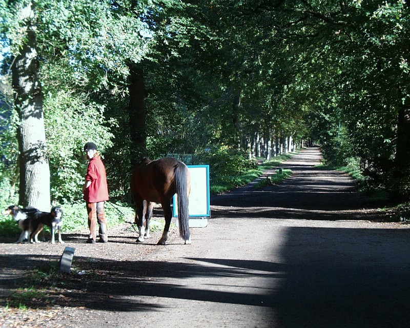 20041009 Gidsencursus paddestoelen (16).jpg