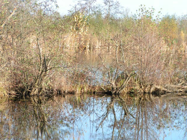 20041124 Gidsencursus Landschap Fietstocht (3).jpg