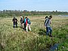 lopen op het trilveen.jpg