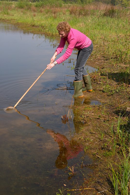 in de paddenpoel_5655.jpg