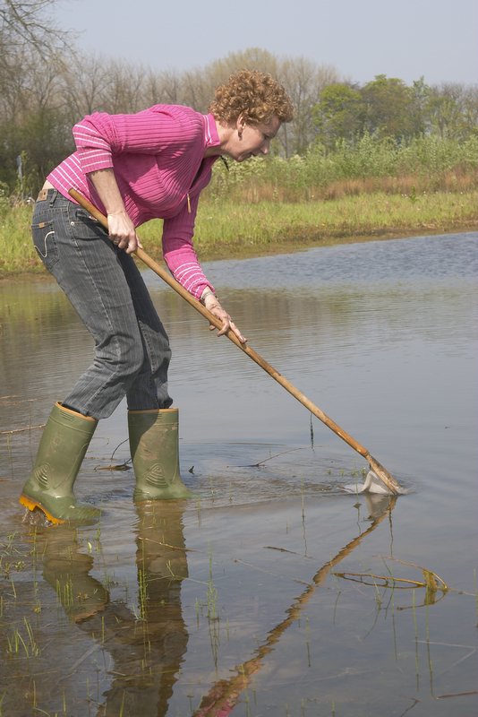 marijke in paddenpoel5659.jpg