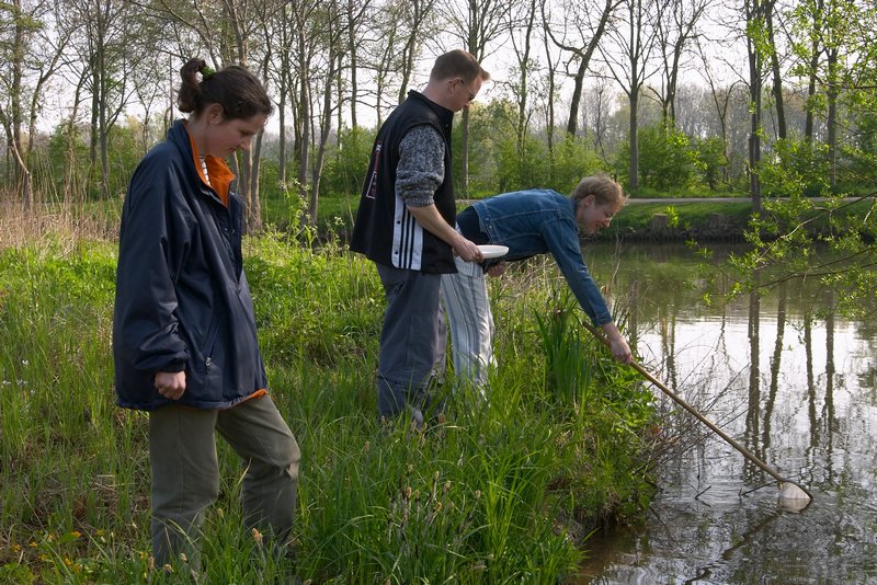 waterfauna verzamelen_5623.jpg