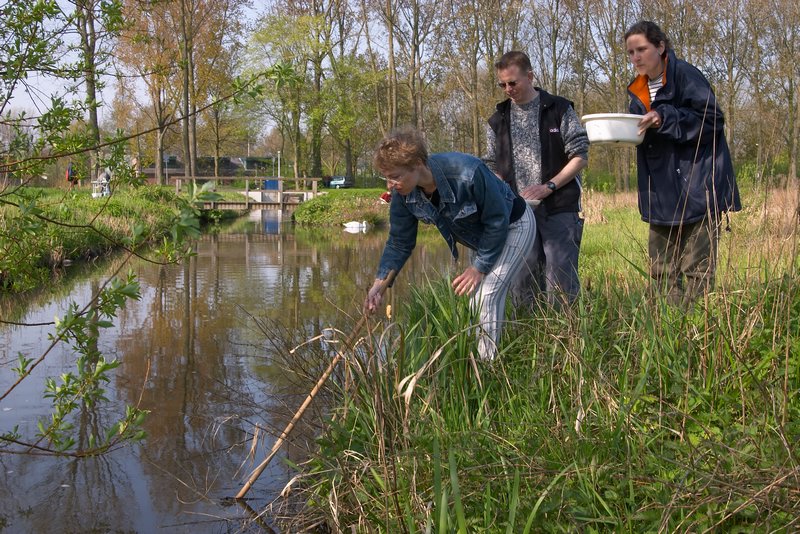 waterfauna verzamelen_5624.jpg