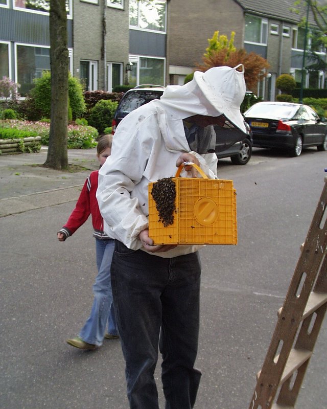 Henk's bijen avontuur (16).JPG