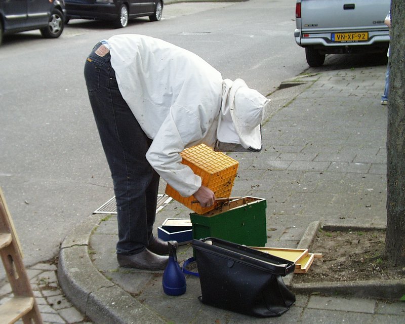 Henk's bijen avontuur (17).JPG