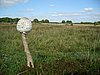 S6001470.JPG