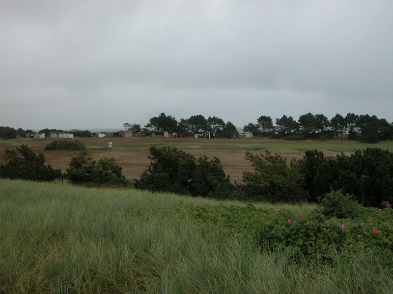 Falsterbo 2007 (014).JPG