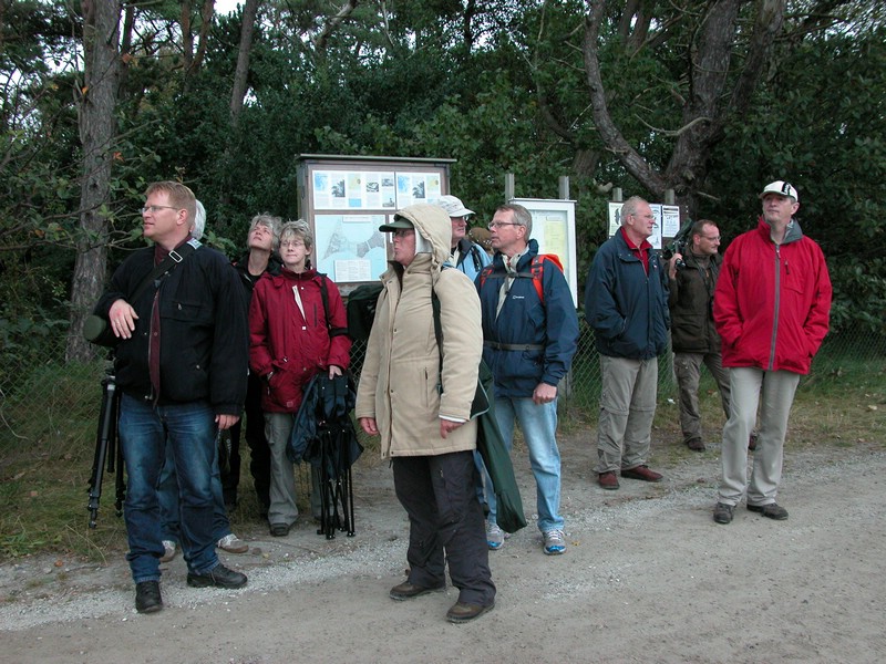 Falsterbo 2007 (017).JPG