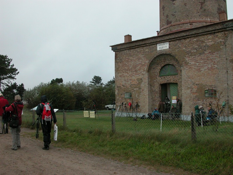 Falsterbo 2007 (019).JPG