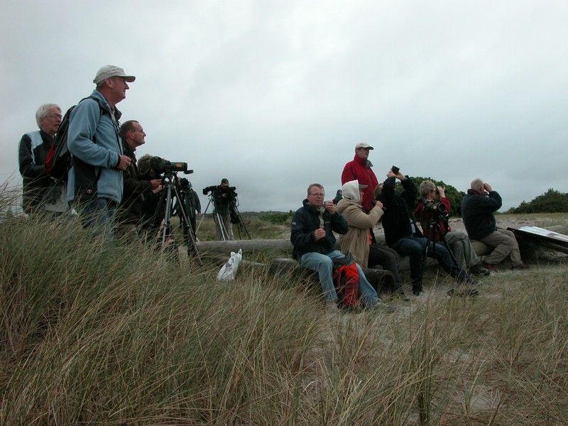 Falsterbo 2007 (031).JPG