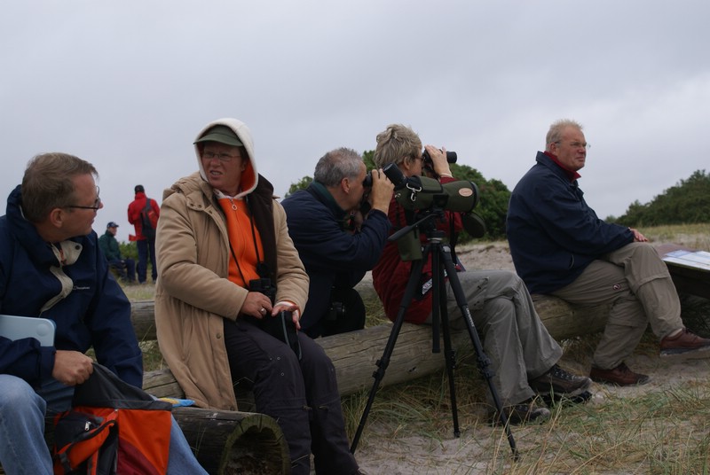 Falsterbo 2007 (039).JPG