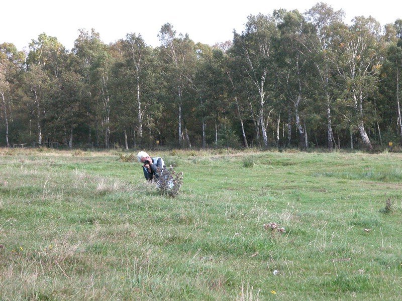 Falsterbo 2007 (056).JPG