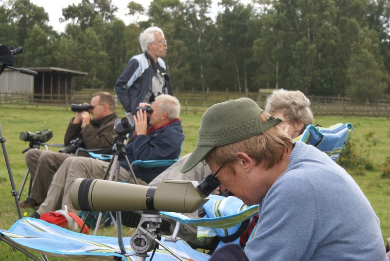 Falsterbo 2007 (059).JPG