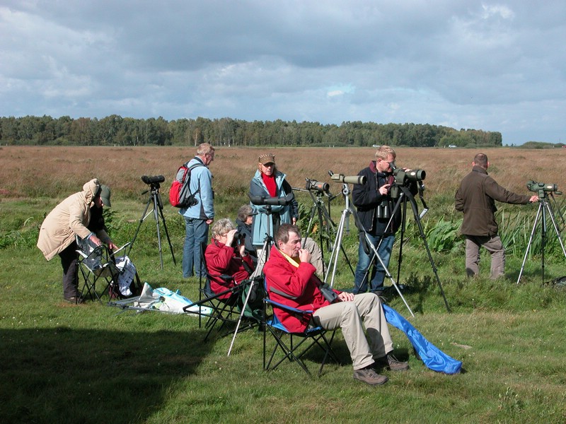 Falsterbo 2007 (066).JPG