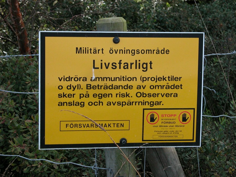 Falsterbo 2007 (067).JPG