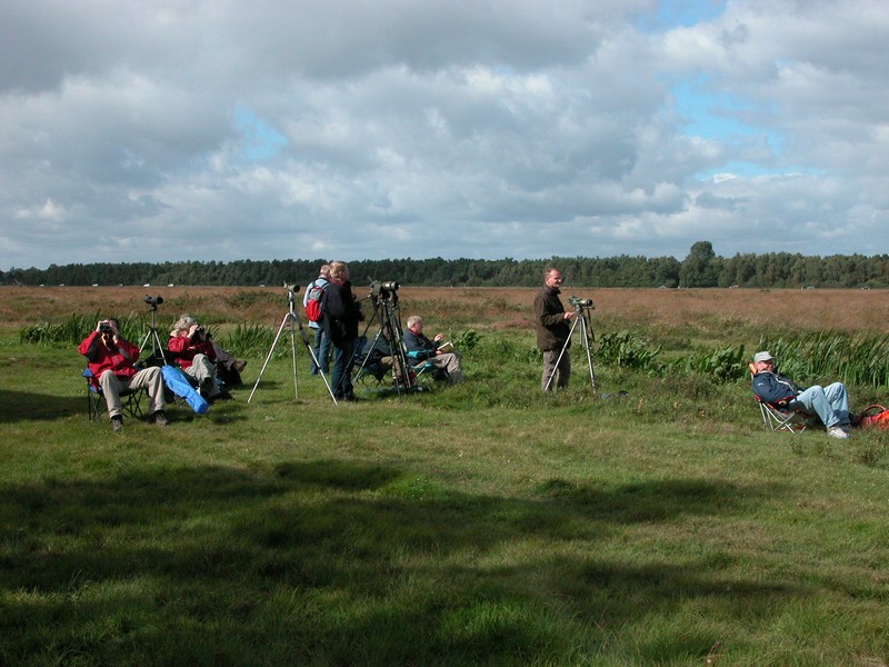 Falsterbo 2007 (068).JPG