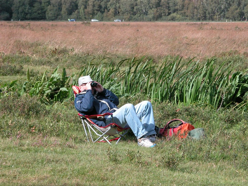 Falsterbo 2007 (069).JPG