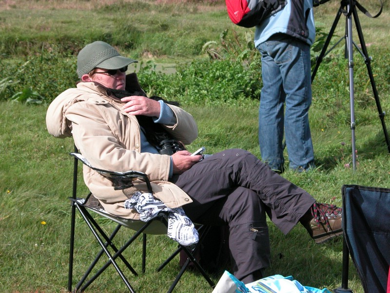 Falsterbo 2007 (071).JPG