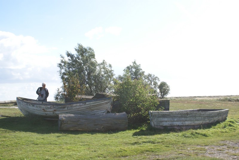 Falsterbo 2007 (102).JPG