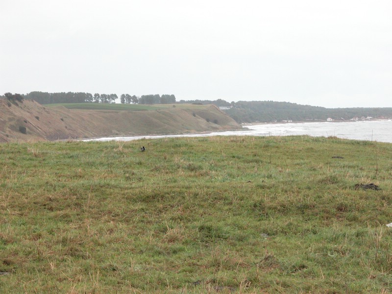 Falsterbo 2007 (241).JPG
