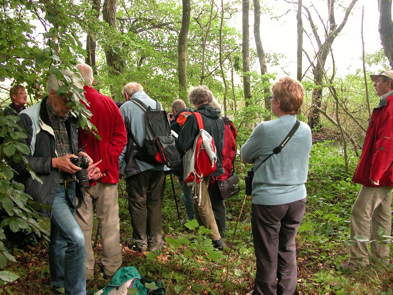 Falsterbo 2007 (337).JPG