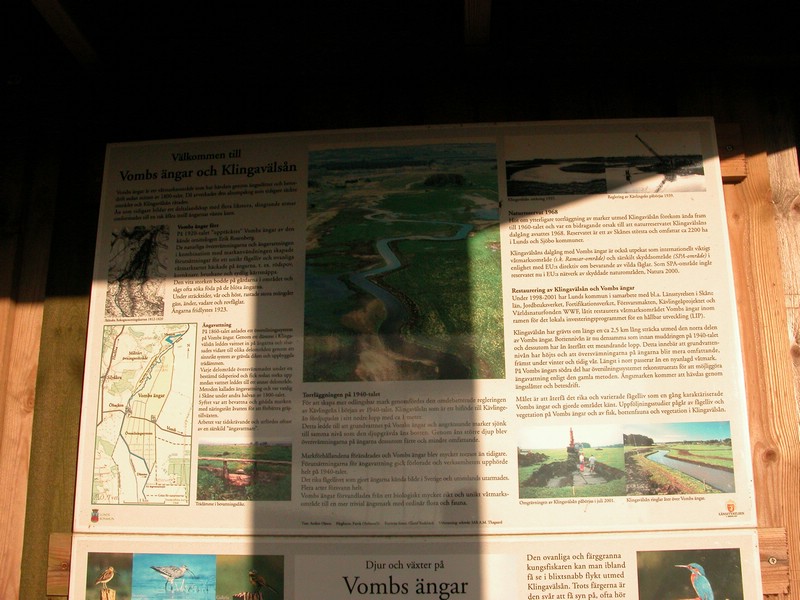 Falsterbo 2007 (377).JPG