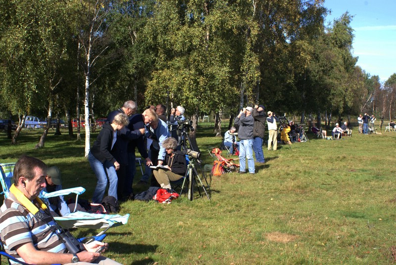 Falsterbo 2007 (506).JPG