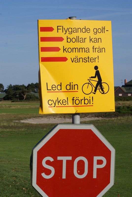 Falsterbo 2007 (563).JPG