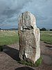 Falsterbo 2007 (279).JPG