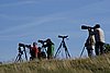 Falsterbo 2007 (544).JPG