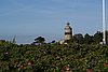 Falsterbo 2007 (561).JPG