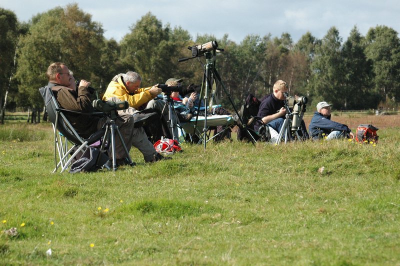 Zweden Falsterbo 2007 005.jpg