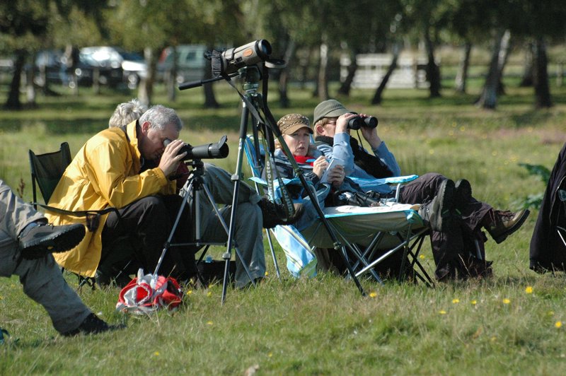 Zweden Falsterbo 2007 009.jpg