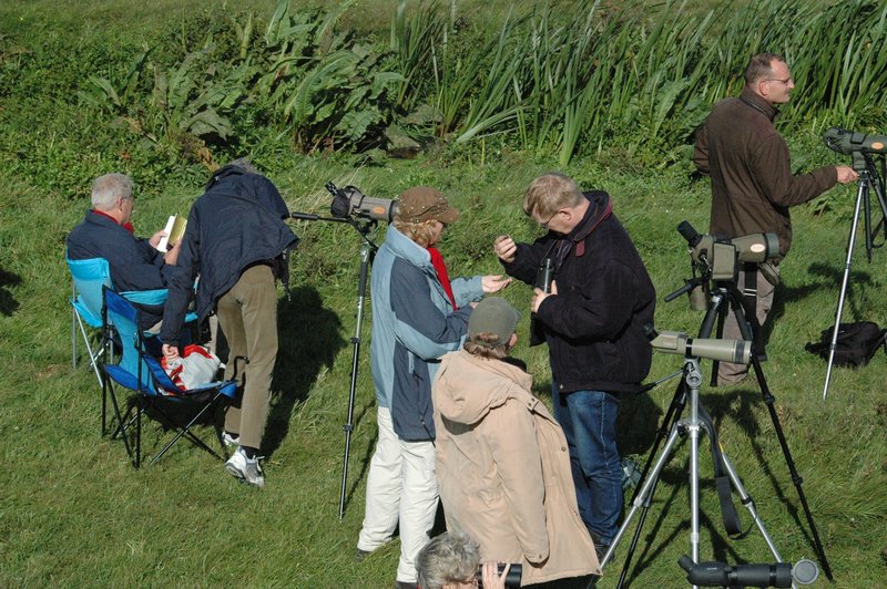 Zweden Falsterbo 2007 019.jpg