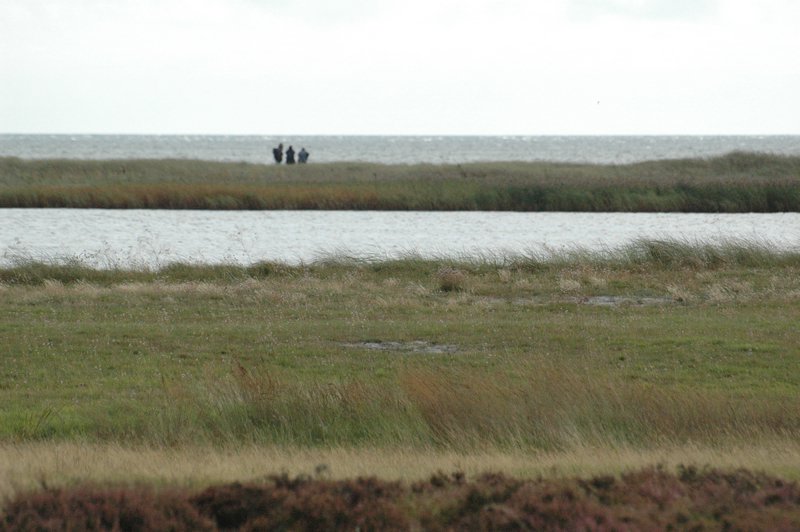 Zweden Falsterbo 2007 037.jpg