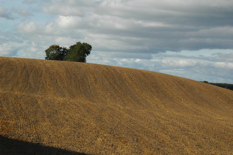 Zweden Falsterbo 2007 099.jpg