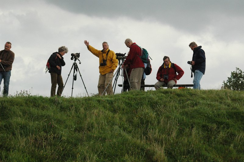 Zweden Falsterbo 2007 260.jpg