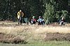 Zweden Falsterbo 2007 045.jpg