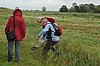 Zweden Falsterbo 2007 263.jpg