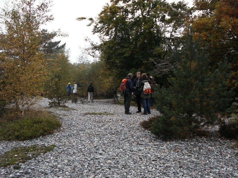 2008-10-11tm18 Ruegen (052).JPG