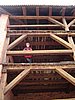 2008-10-11tm18 Ruegen (374).JPG