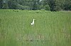 DSC_7583.JPG